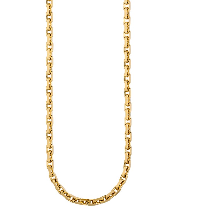 3mm Ankerkette aus 333 Gelbgold 45cm