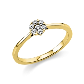 Ring aus 750 Gold Gelbgold 7 Brillanten 0,17ct TW-SI B:5,3mm