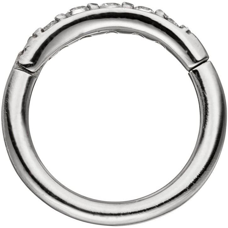 Segmentring Edelstahl mit Swarovski-Elements