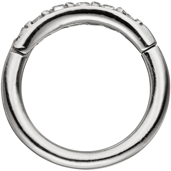 Segmentring Edelstahl mit Swarovski-Elements