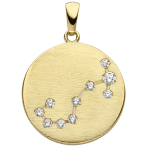 Anhänger Sternzeichen Skorpion 10 Zirkonia 333 Gold Gelbgold matt Halsschmuck