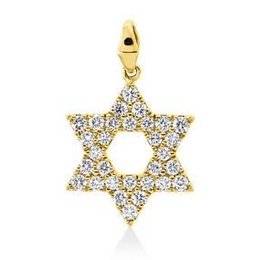 Anhänger aus 585 Gold Gelbgold 30 Brillanten 0,33ct W-SI/PI 18,5x11,5mm mit Öse