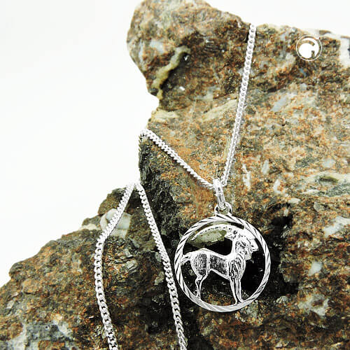 Anhänger Sternzeichen Steinbock mit Kette 1.4mm Flachpanzer 925 Silber 45cm