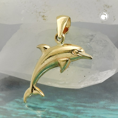 Anhänger 18x8mm Delfin glänzend 9Kt 375 Gold