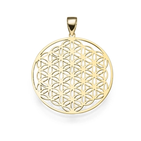 Anhänger Lebensblume mit Ornament 24,5mm 585 Gold Gelbgold rund Halsschmuck