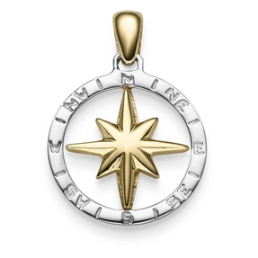 Anhänger Windrose Kompass 24x18mm aus 585 Gold Gelbgold Weißgold glänzend
