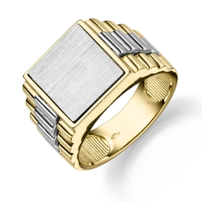 Siegelring Herrenring aus 585 Gold Gelbgold Weißgold flach Ring für Männer Siegelring Herrenring aus 585 Gold Gelbgold Weißgold flach Ring für Männer