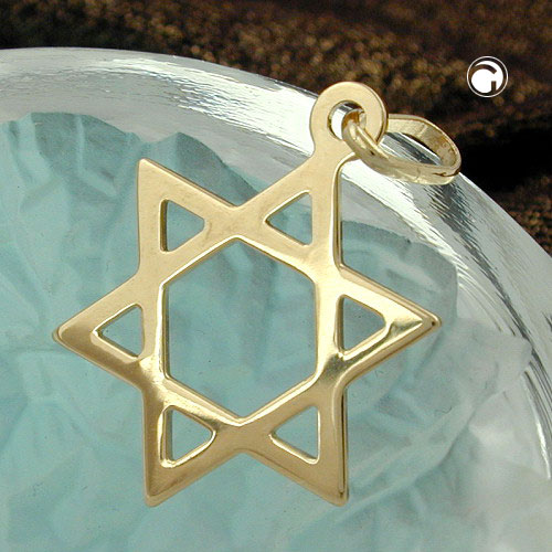 Anhänger David Stern aus 375 Gelbgold
