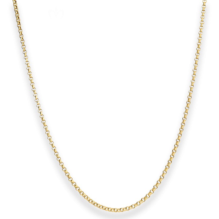2mm Erbskette aus 585 Gelbgold 50cm
