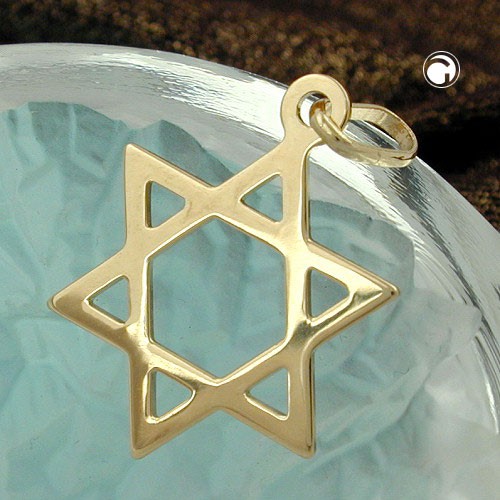 Anhänger David-Stern 14Kt GOLD