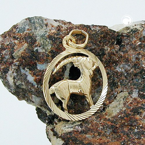 Anhänger Sternzeichen Steinbock 375 Gelbgold