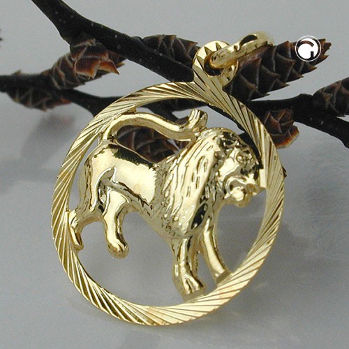 Anhänger Sternzeichen Löwe 375 Gelbgold