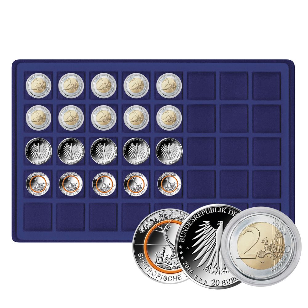 Large coin collection case with 8 dark blue coin trays for 320