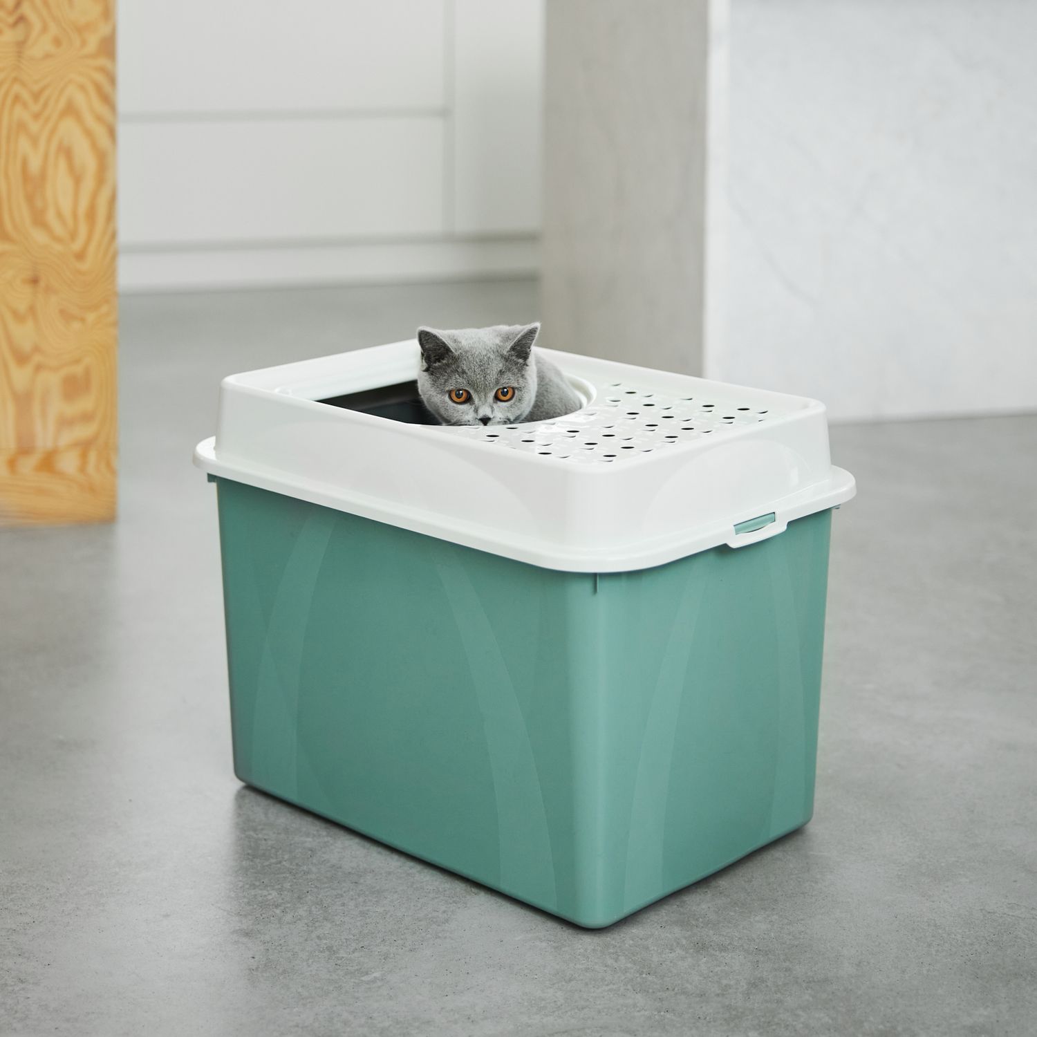 Katzentoilette oben offen Eco BERTY