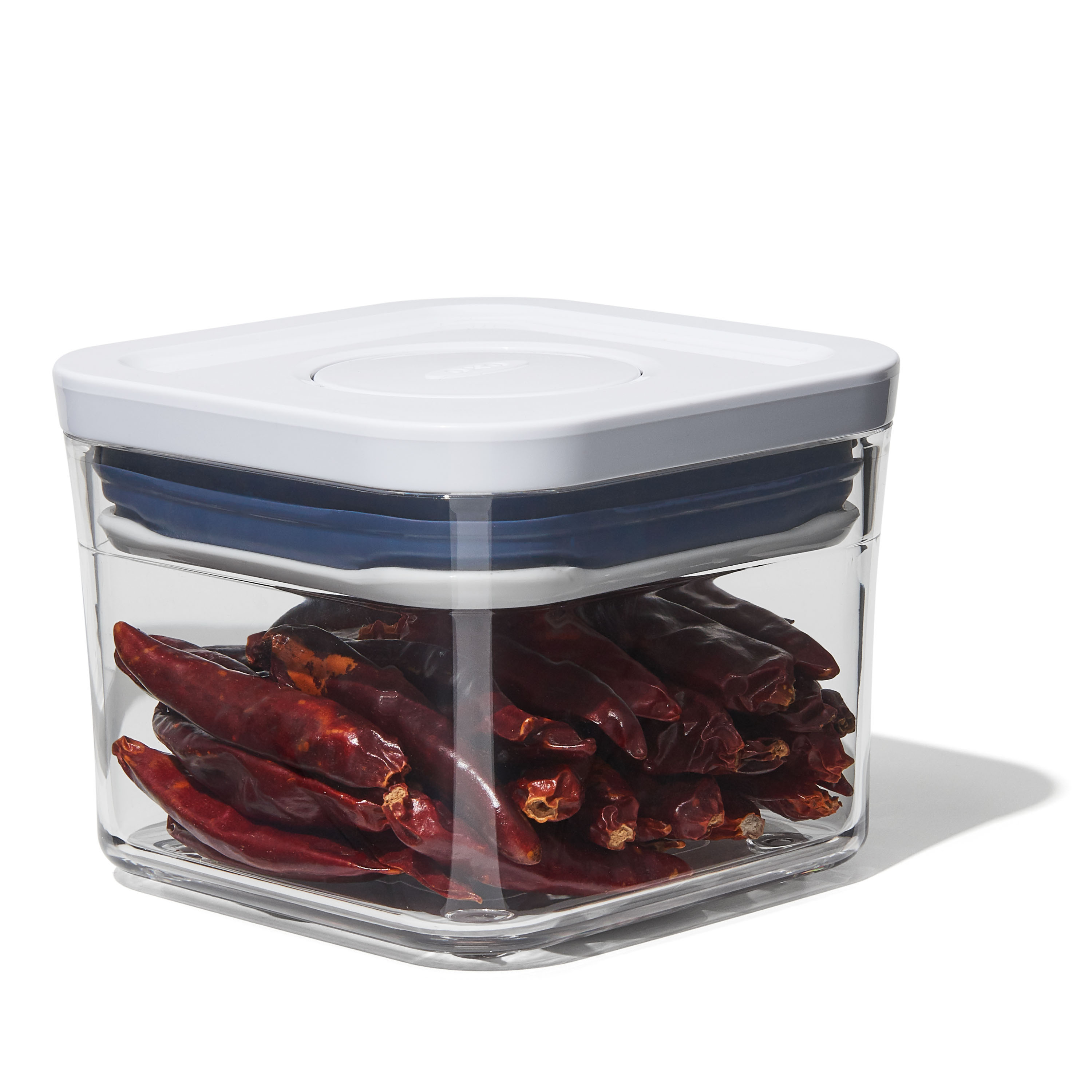 porzellan weihnachten Suppenteller CHRISTMAS BERRIES Mistelzweige D. 22cm Easy Life Gastgeber Geschenk