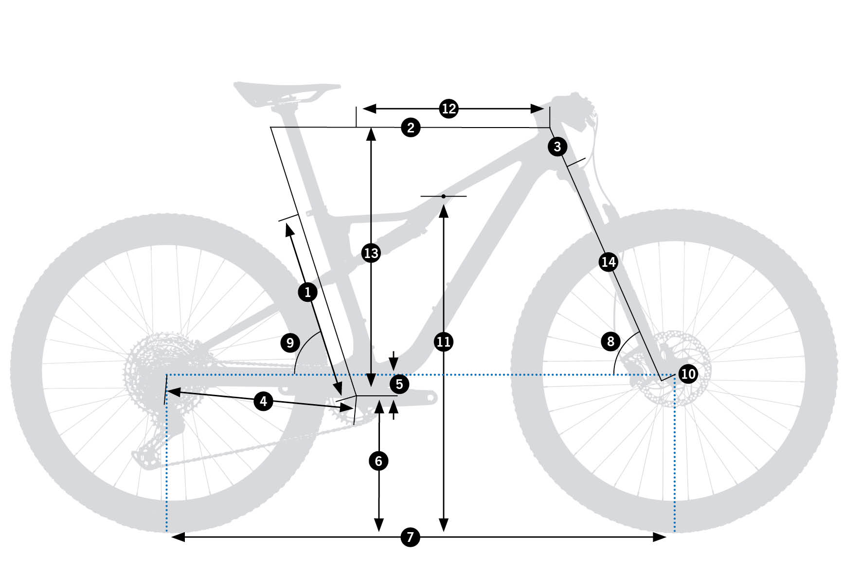 Orbea Oiz Hydro Geometrie