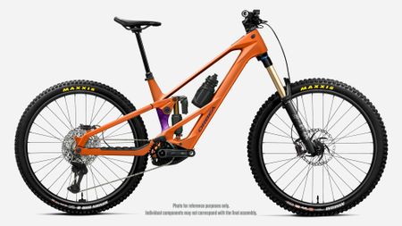 WILD LT H10 MULLET 2027 WILD LT H10 MULLET 2027