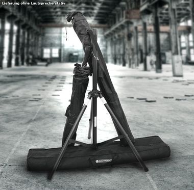 Carrying bag for two speaker stand
