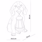 81009800-33371-4.jpg