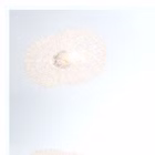 81011687-8462-3-3.jpg
