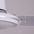 9953-30.jpg