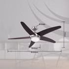 9955-50.jpg