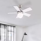 10156-2LED2.jpg