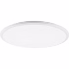 19541-1.jpg