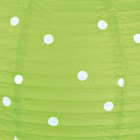 22952-3.jpg
