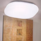 92268-2.jpg