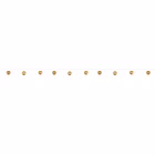 81060000-1.jpg