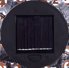 33744-5.jpg
