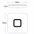 93098-TZ.jpg