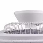 R62402906-7.jpg