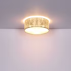 98779-A2.jpg
