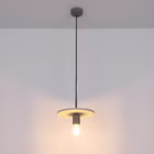 98861-A1.jpg