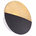 98951-6.jpg