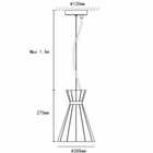 98960-TZ.jpg