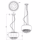 99007-TZ.jpg