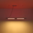 99865-A.jpg