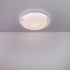 100048-A1.jpg