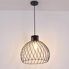 100167-AM.jpg
