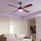 98057-RGB-4-ai.jpg