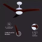 101744-13.jpg