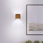107244-2.jpg