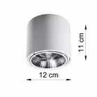 107491-TZ.jpg