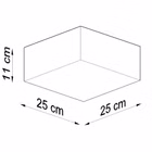 107697-3.jpg