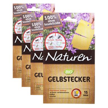 60 Stück Bio Gelbstecker, teilbar durch Perforierung, mit Metallstecker