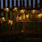 116445-7.jpg
