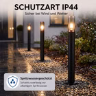 KI-generierter Inhalt. 116465-10-ai.jpg